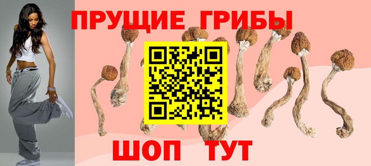 Псилоцибиновые грибы MAGIC MUSHROOMS  Псилоцибиновые грибы прущие грибы  Уварово  Вход с VPN 